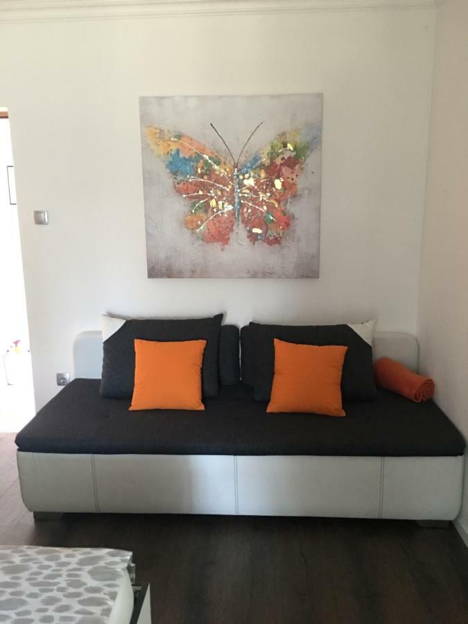볼 Casa Tomadero 아파트 외부 사진